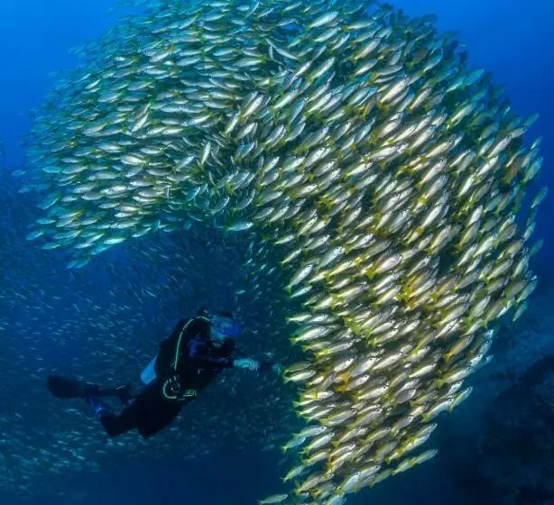 هتل Hydronauts Diving Resort  Koh Tao