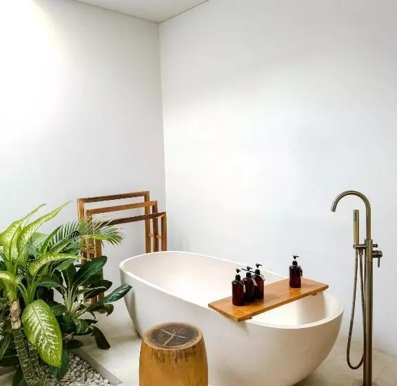 ホテル Neptune Studios Adults Only