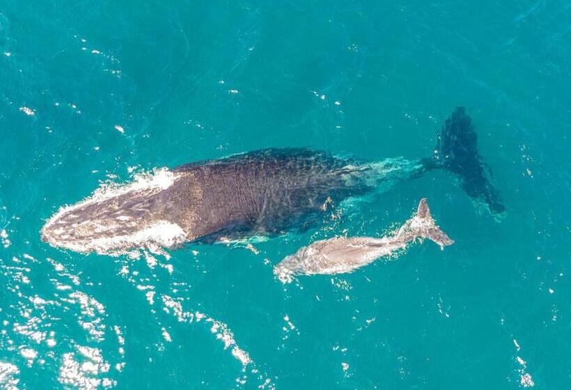 Hotel Sky Island Resort