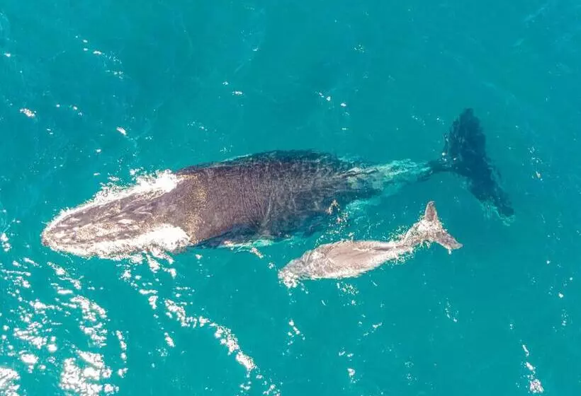 ホテル Sky Island Resort