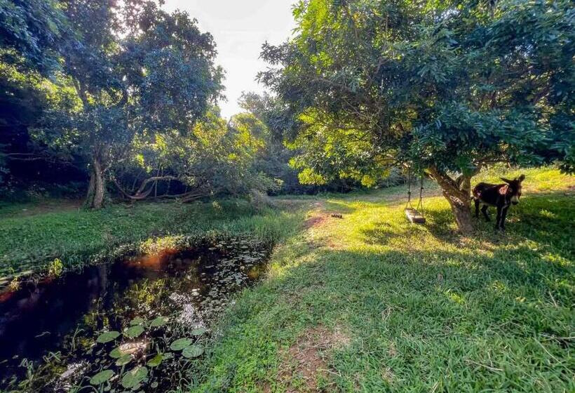 Hotel Sky Island Resort