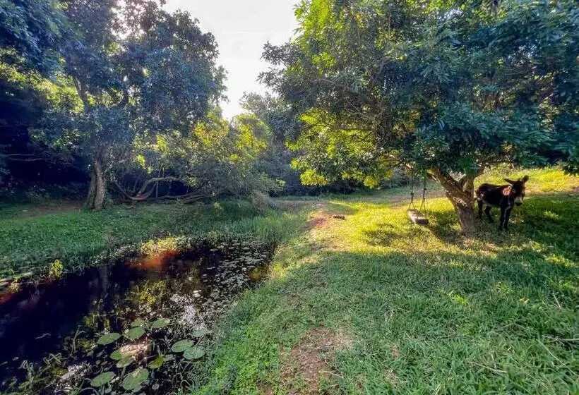 ホテル Sky Island Resort