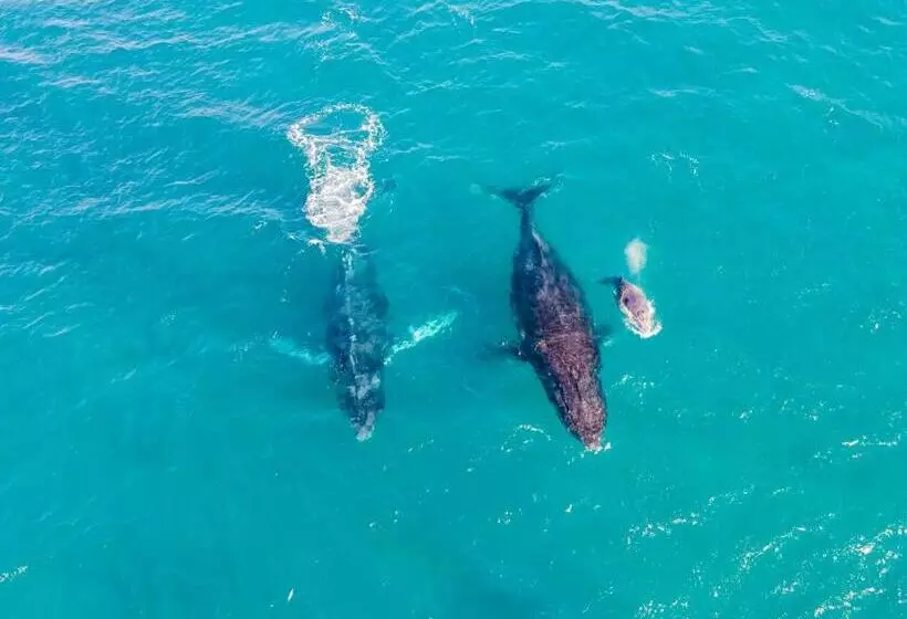 ホテル Sky Island Resort