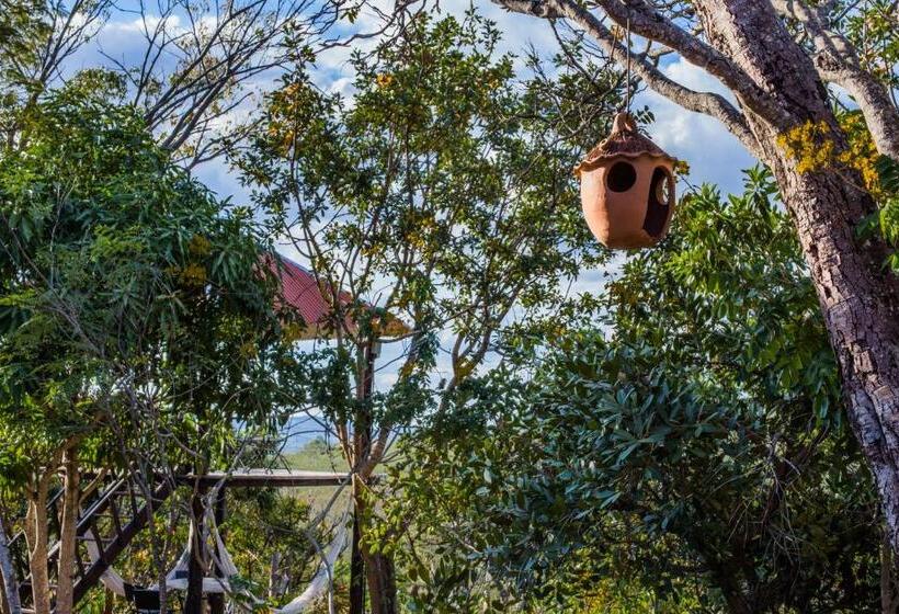 هاستل Pousada Caminho Das Cachoeiras