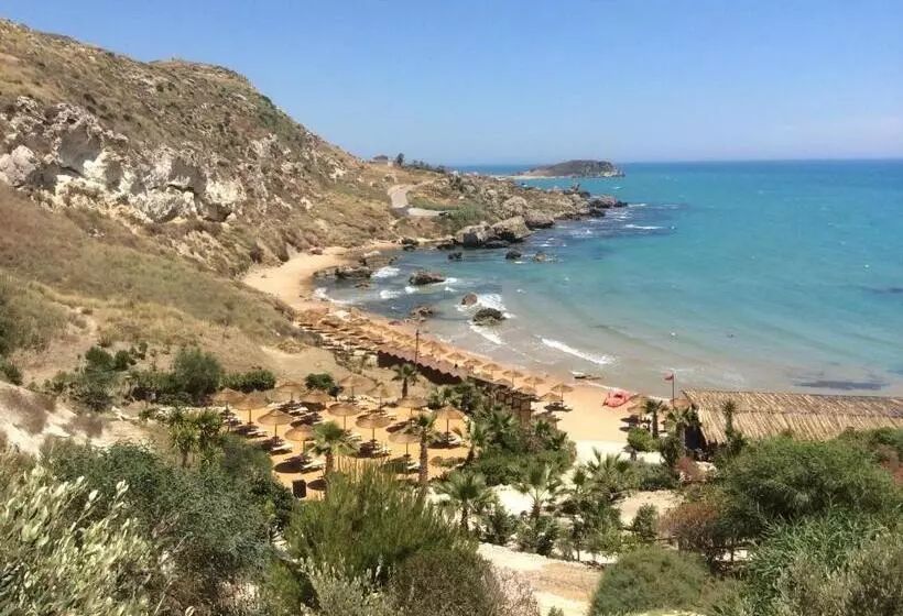 B&b Vipuntotre