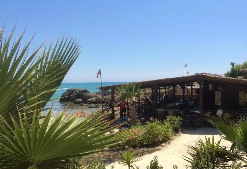 B&b Vipuntotre