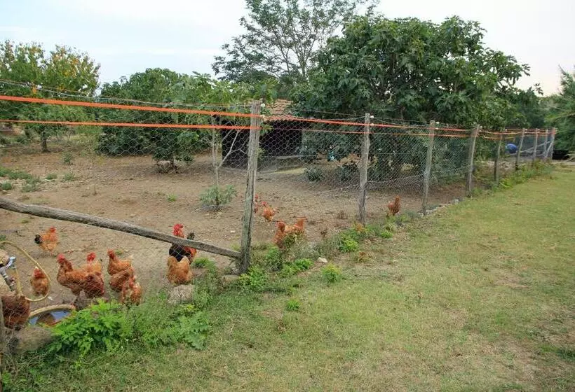 ホテル Agriturismo Locanda Pantanello