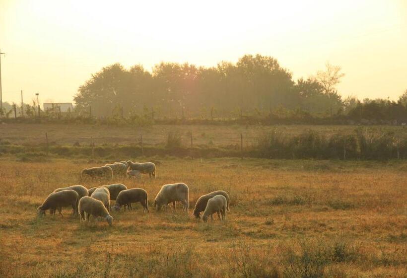 בית מלון כפרי Agriturismo Locanda Pantanello