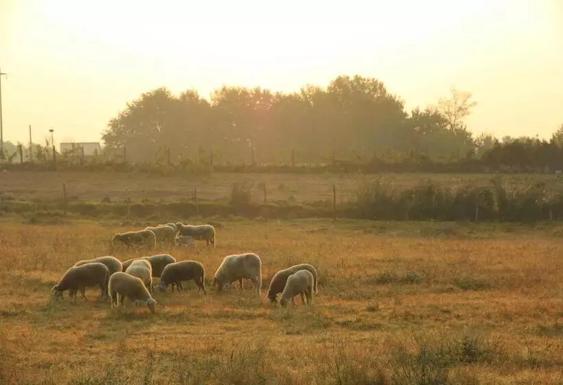 ホテル Agriturismo Locanda Pantanello