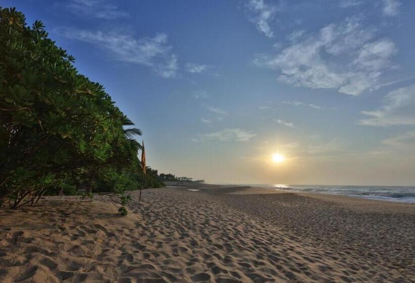 هتل Shiva S Beach Cabanas