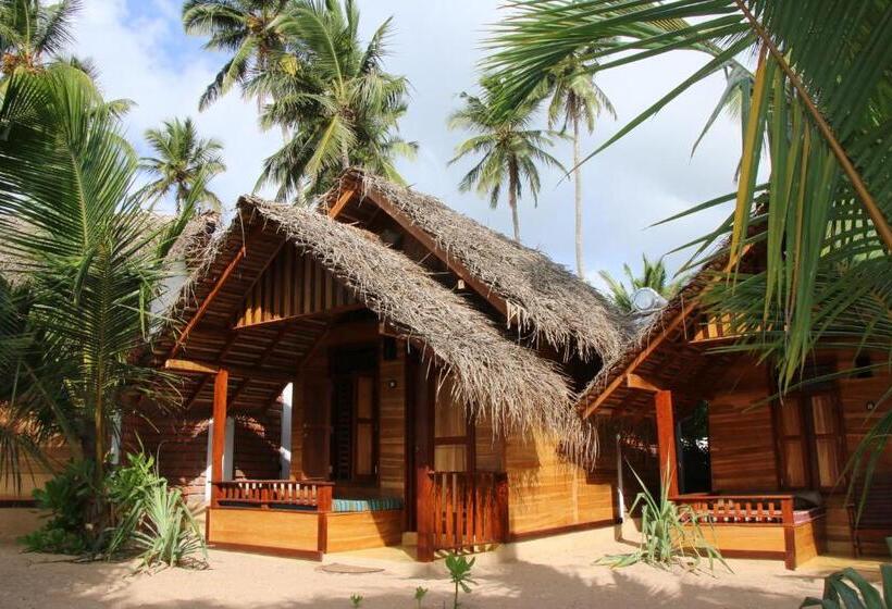 هتل Shiva S Beach Cabanas