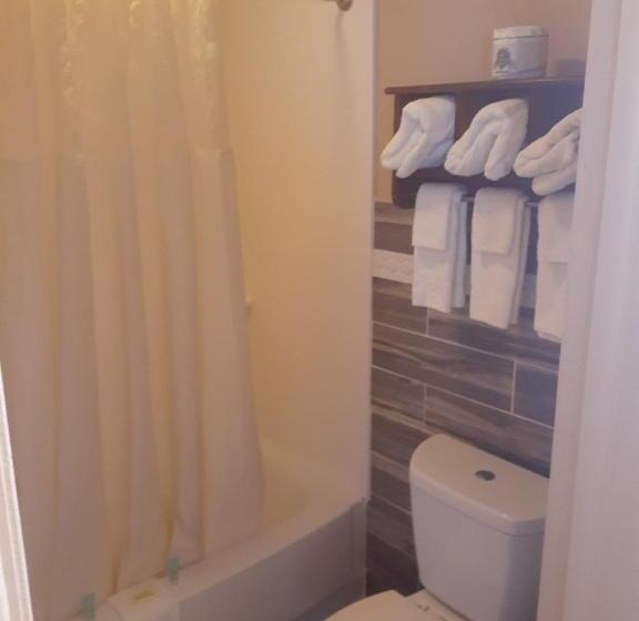 Мотель Rochester Inn