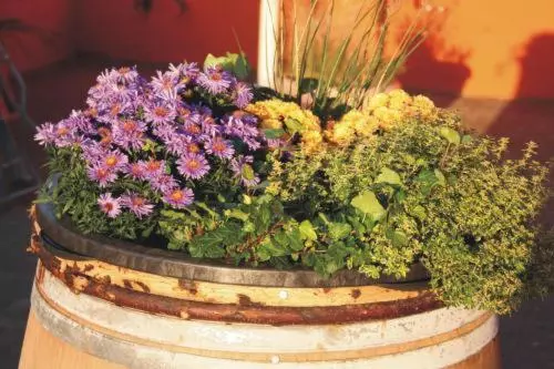 Majatalo Landgasthof Am Bäumchen