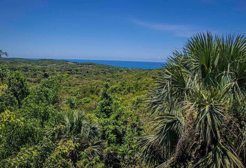 پانسیون Kassion Corner