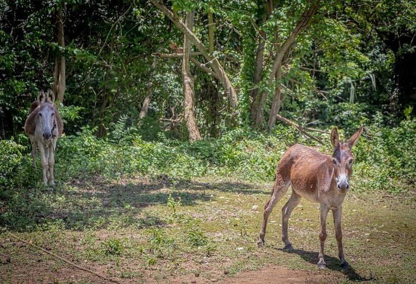 پانسیون Kassion Corner