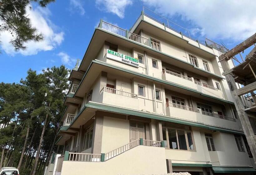 پانسیون Miracle Springs Guest House