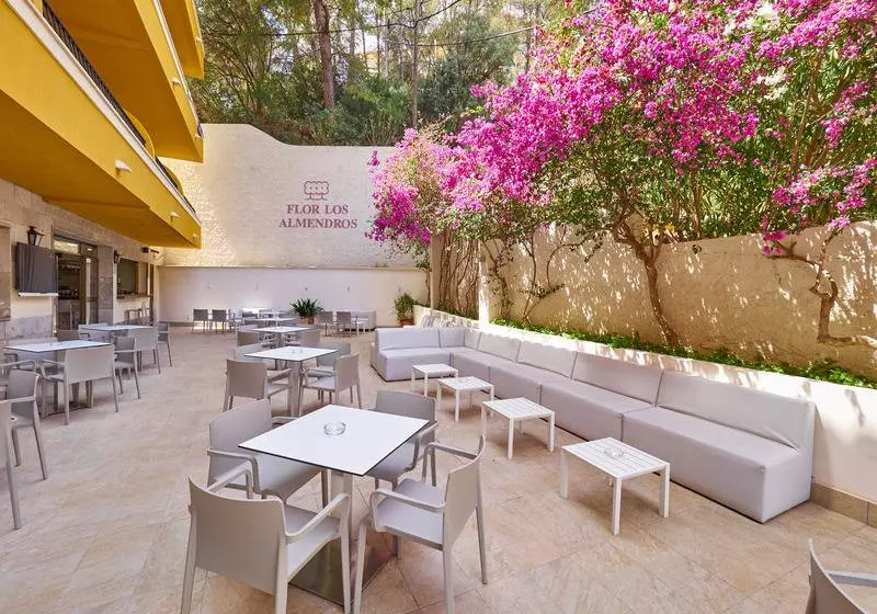 Apartamentos Flor Los Almendros