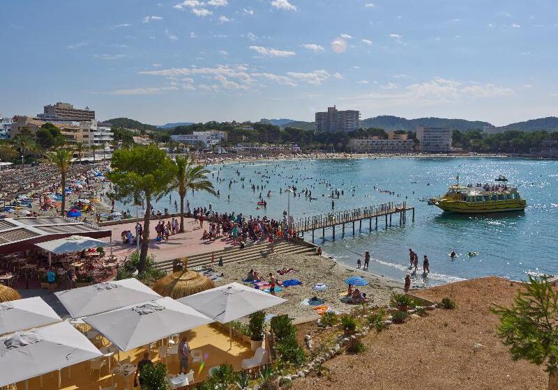 Apartamentos Flor Los Almendros