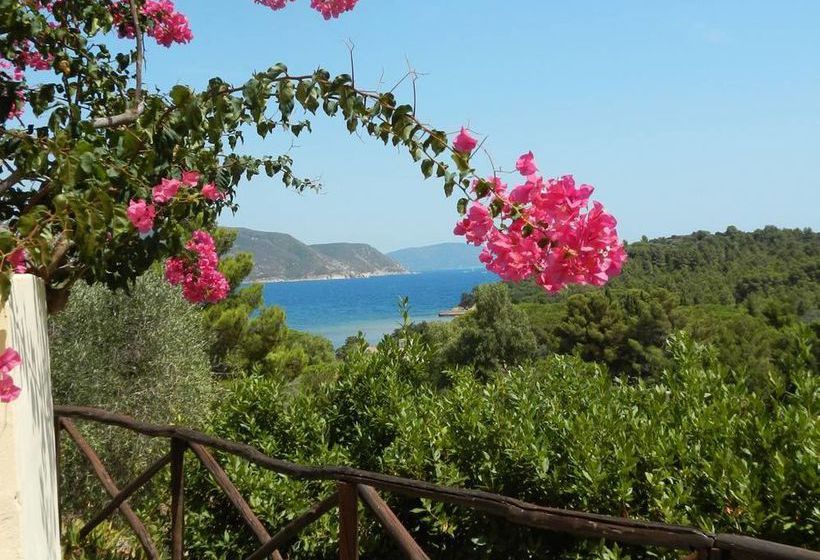 בית מלון כפרי Agriturismo Galenzana