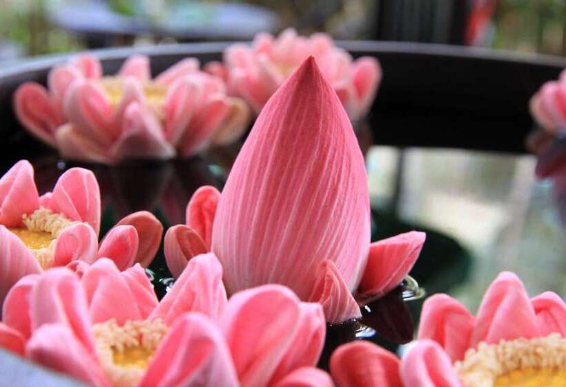 فندق Angkor Empire Boutique