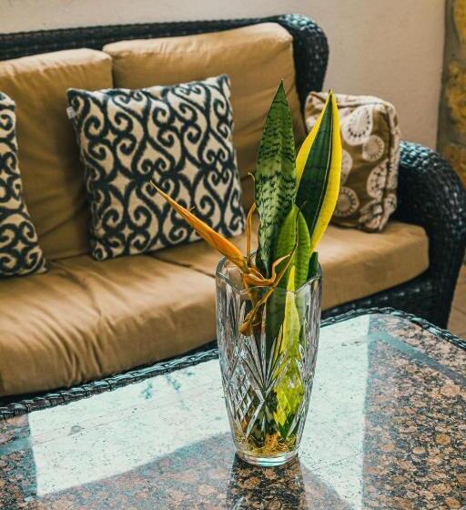 فندق Cañada Internacional