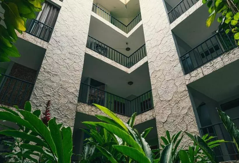 فندق Cañada Internacional