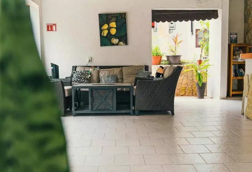 فندق Cañada Internacional