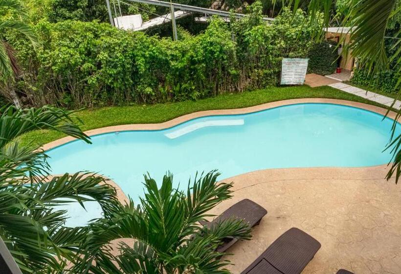 فندق Cañada Internacional