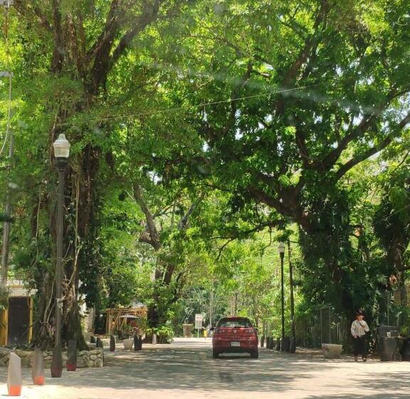 فندق Cañada Internacional