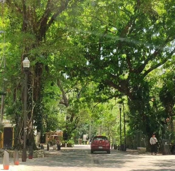 فندق Cañada Internacional