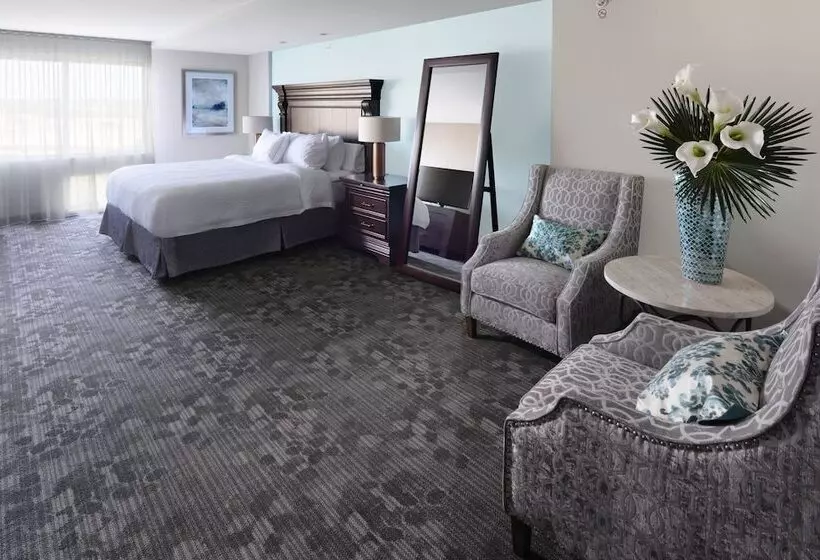 ホテル Courtyard By Marriott Dallas Plano/the Colony
