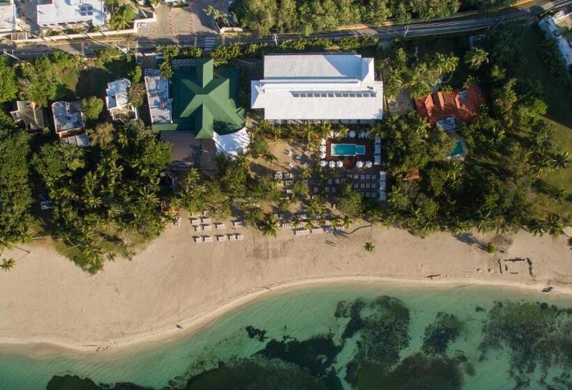 Otel Emotions by Hodelpa Juan Dolio - All Inclusive