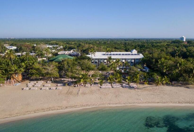 Otel Emotions by Hodelpa Juan Dolio - All Inclusive