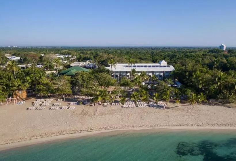 هتل Emotions by Hodelpa Juan Dolio - All Inclusive