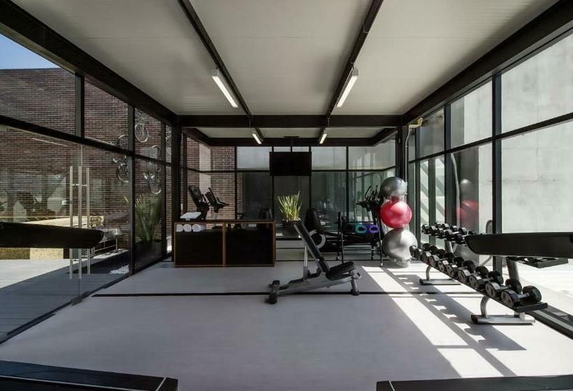 فندق Fiesta Americana Monterrey Pabellón M