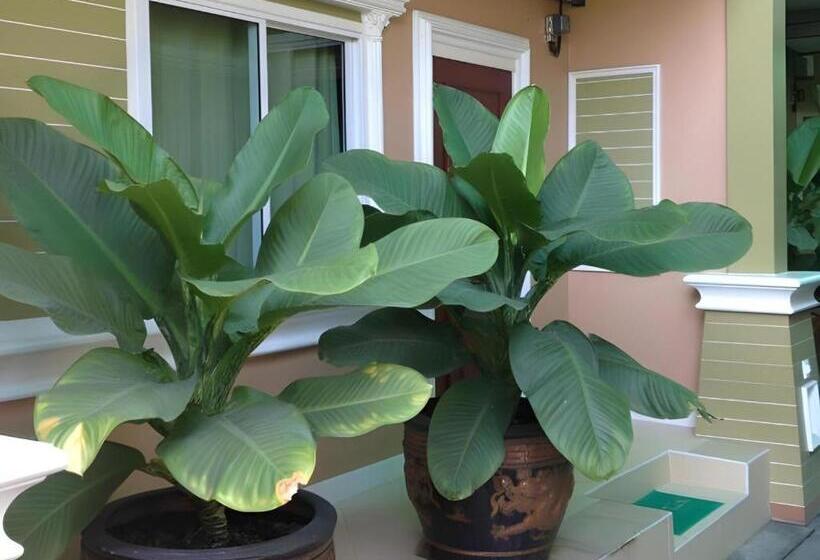 ホテル Kacha Resort