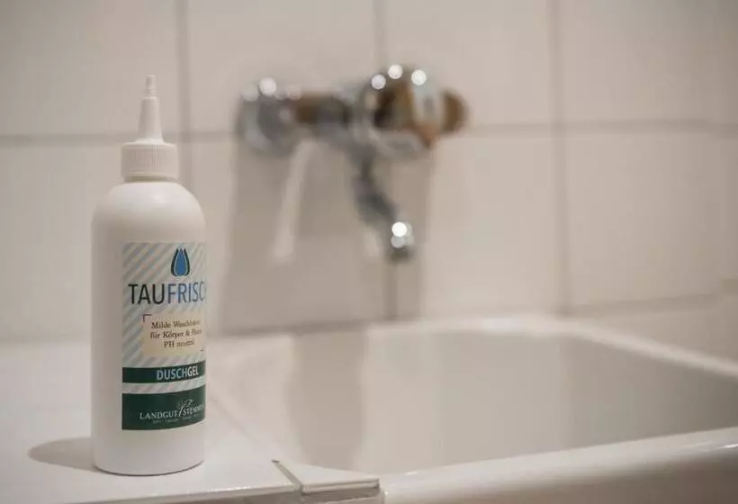 Отель Landgut Stemmen