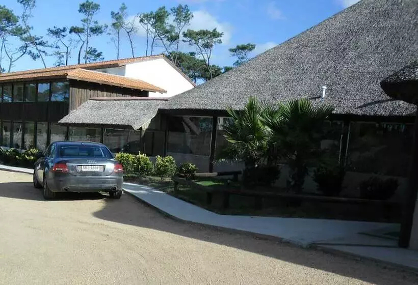 فندق Punta Del Este Arenas