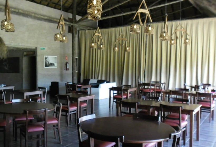 فندق Punta Del Este Arenas