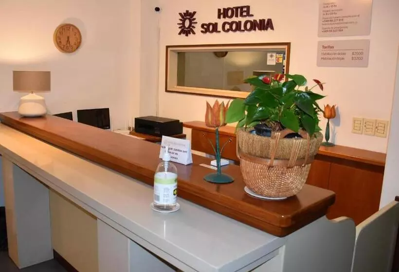 فندق Sol Colonia