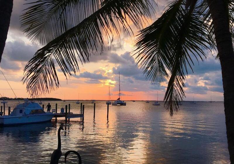 Отель The Pelican Key Largo Cottages