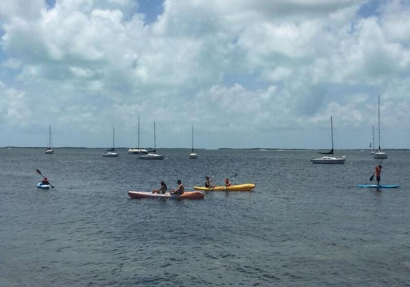 Отель The Pelican Key Largo Cottages