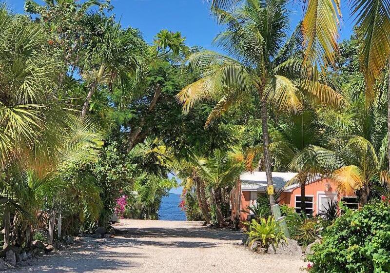 Отель The Pelican Key Largo Cottages