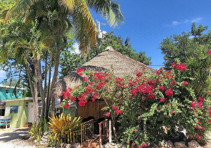 Отель The Pelican Key Largo Cottages