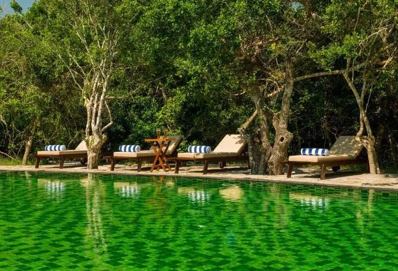 استراحتگاه Uga Chena Huts   Yala   All Inclusive