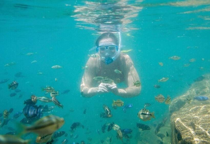 Tranquilo Resorts Capemaclear