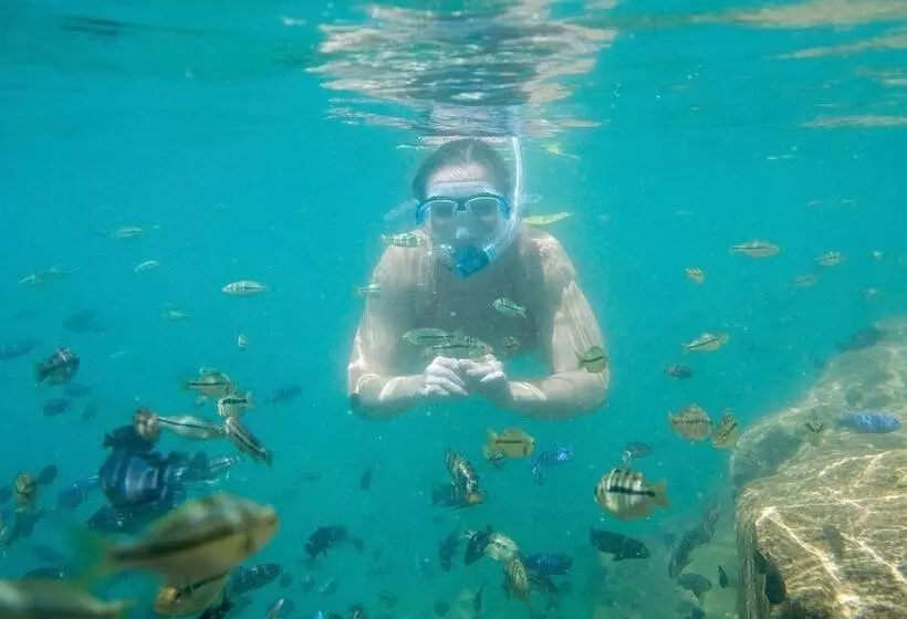 Tranquilo Resorts Capemaclear