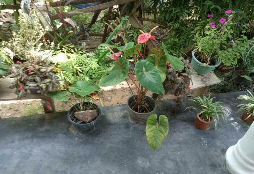 مبيت وإفطار Myro Cottage