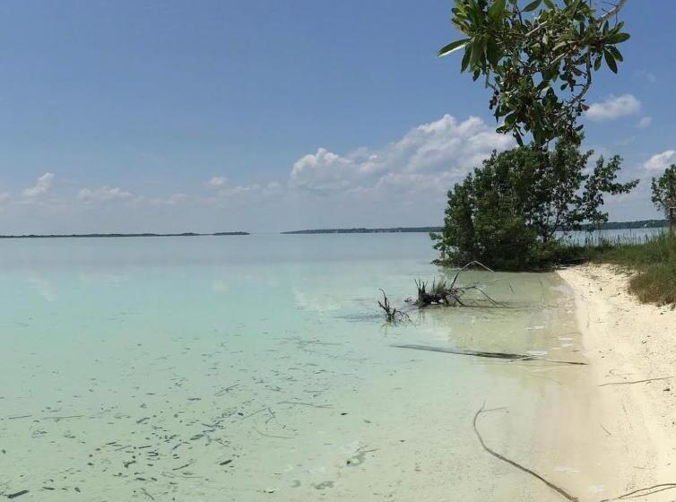 مبيت وإفطار Casa Vive Bacalar