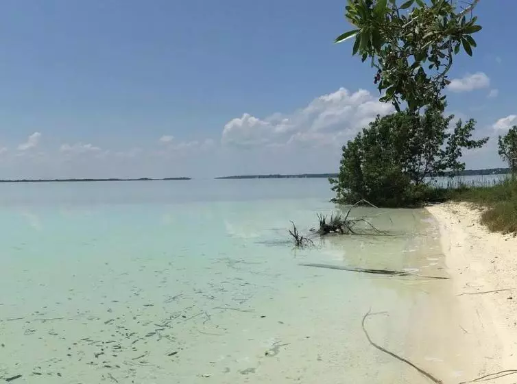 Aamiaismajoitus (B&B) Casa Vive Bacalar